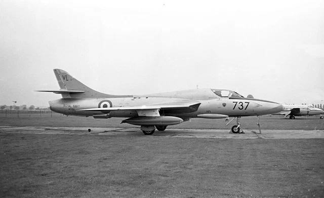 ADS, Hunter T.8, WT702 '737-VL' at Hatfield, Aug 1971 - original B&W neg