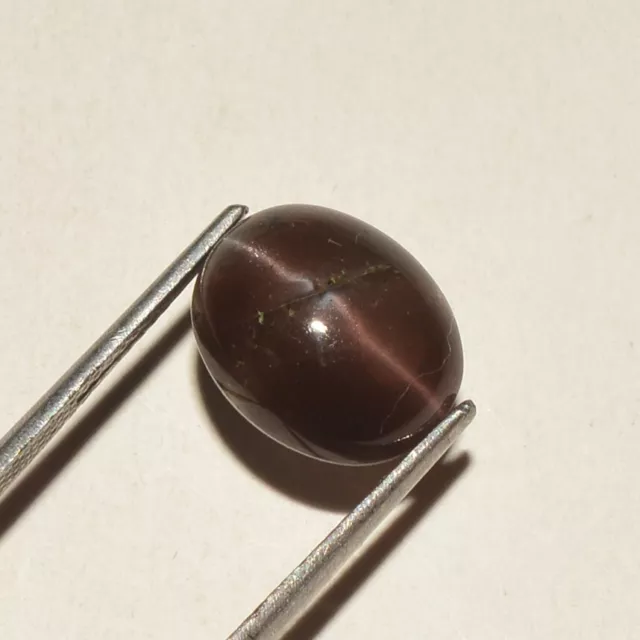 4.50 Ct Natural Brown Cat's Eye Oval Cabochon Loose Gemstone Ring Use Gem