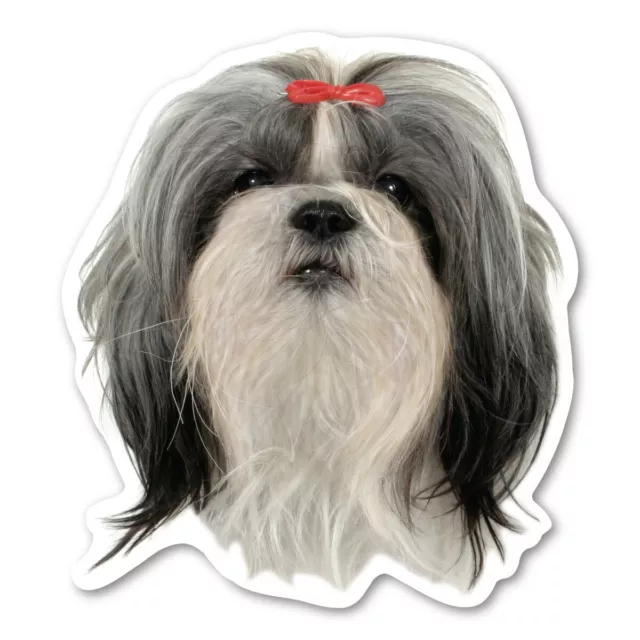 Shih Tzu Magnet