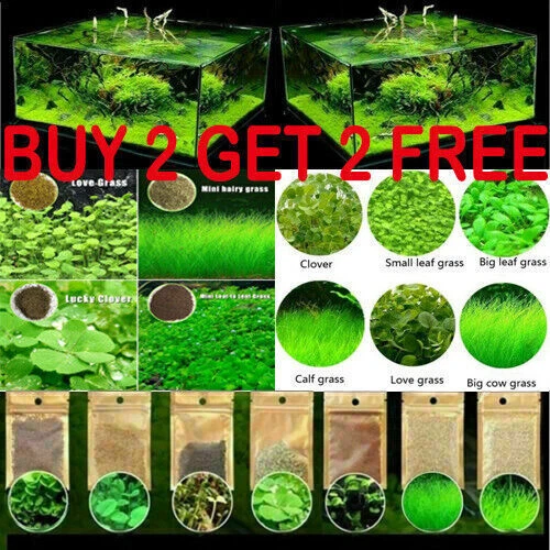 10g/bag Aquarium Plant Seeds/Fish Tank Aquatic Water Grass Foreground Easy Plant