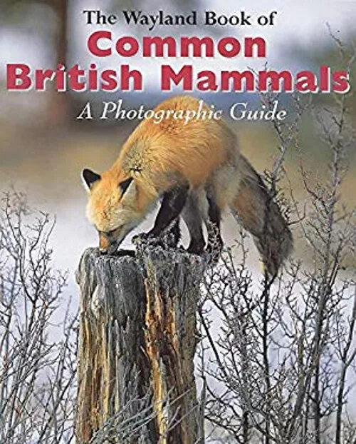 The Wayland Book of Common British Mammals : A Photographic Guide