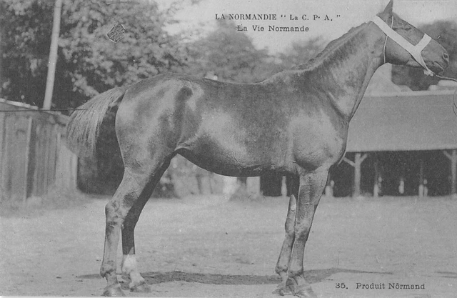 Cpa 14 La Normandie La Vie Normande Product