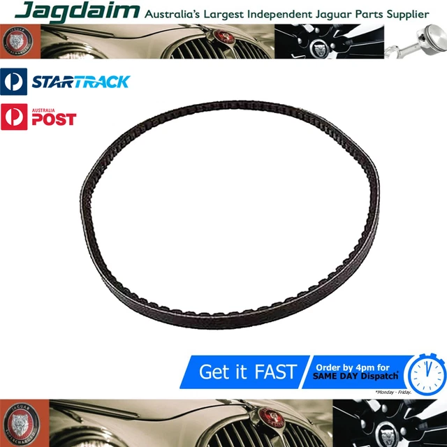 NEW JAGUAR XJ XJS XJ12 V12 Power Steering Pump Drive Belt EAC1323 10.