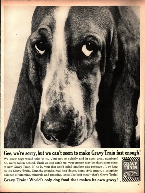 1960 GAINES Gravy Train Dog Food - Cute BASSETT HOUND Dog - Retro  VINTAGE AD c5
