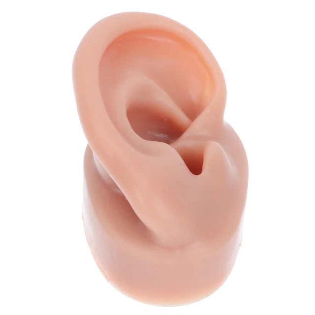 Cuerpo de hombre muñeca escaparate modelo de oreja humana herramienta punción