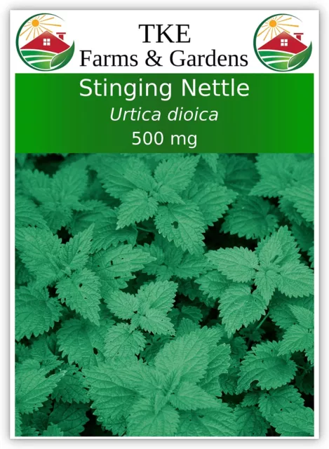 Stinging Nettle Seeds for Planting, 2000 Seeds