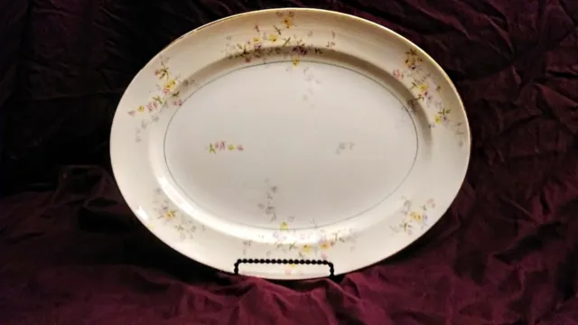 Pope Gosser Vintage China 13" Oval Serving Platter Plate, Gold Rim, Clementine