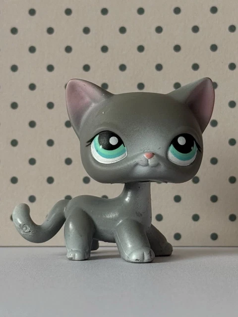 Littlest Pet Shop LPS Authentic Chat Européen Shorthair - Figurine Hasbro N°126