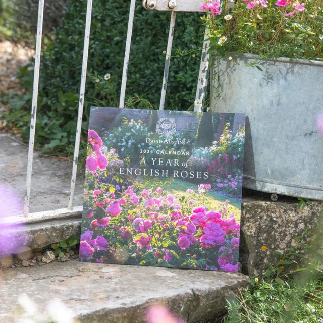 ENGLISH ROSE CALENDAR 2024 David Austin 70.99 PicClick
