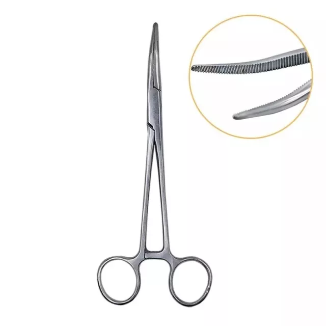 Stainless Steel Clamp Forceps Surgical Tool Pliers Straight Elbow Tip Silver 2
