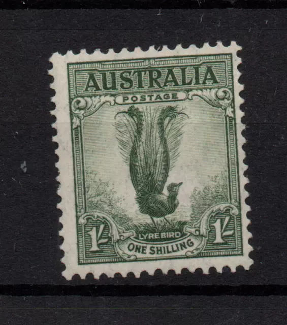 Australia 1937 1/- Lyre Bird P13.5 mint LHM SG174 WS36651