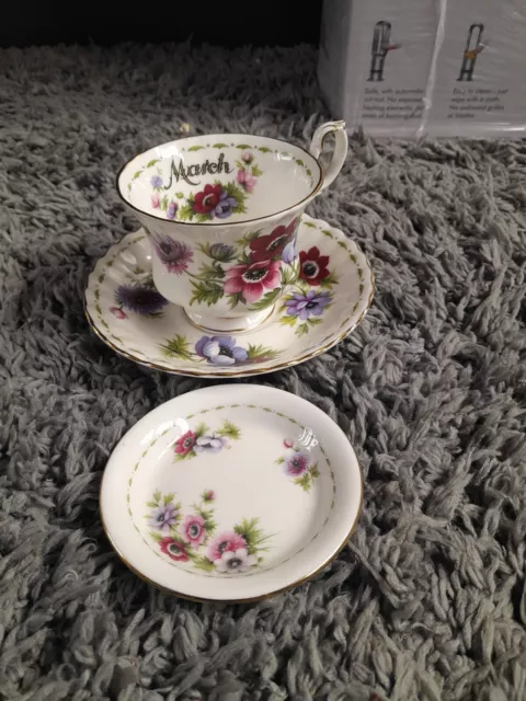 Royal Albert Flower of the month March Cup and saucer Also Coaster