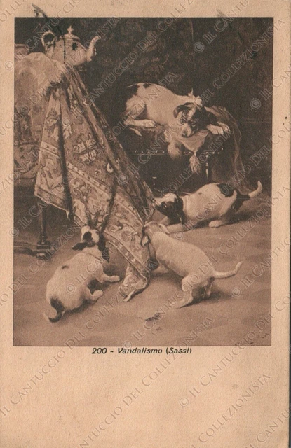 1913 Vandalismo SASSI cani Cartolina