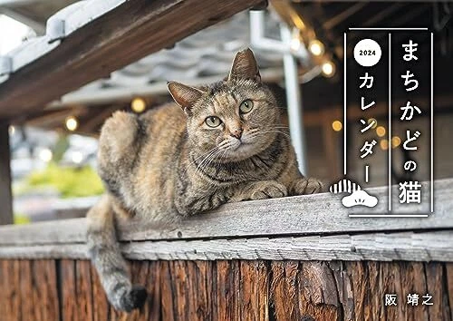 Town Cat Calendar 2024 (Wall Hanging) calendar])