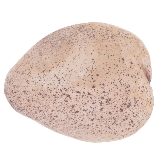 Resin Key Stash Box Finta Rock Hider Stone Figurina