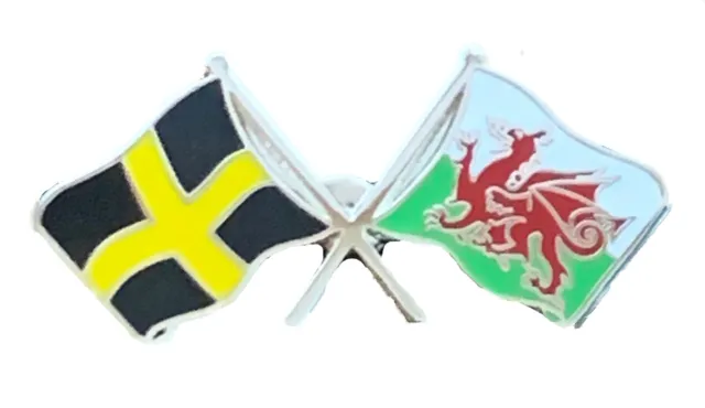 Wales & St Davids Flags Friendship Courtesy  enamel  Lapel Pin Badge T936