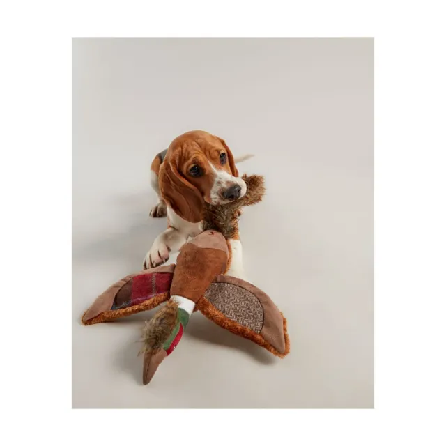 Joules Dog Toy Pheasant  Rope Tug Play Squeaky