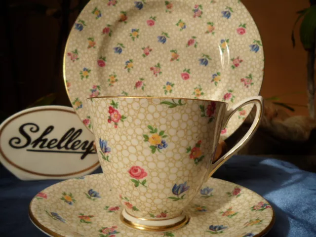 Shelley Floral Chintz   Carlisle  Footed Cup,  Saucer & Plate   Gold Trim