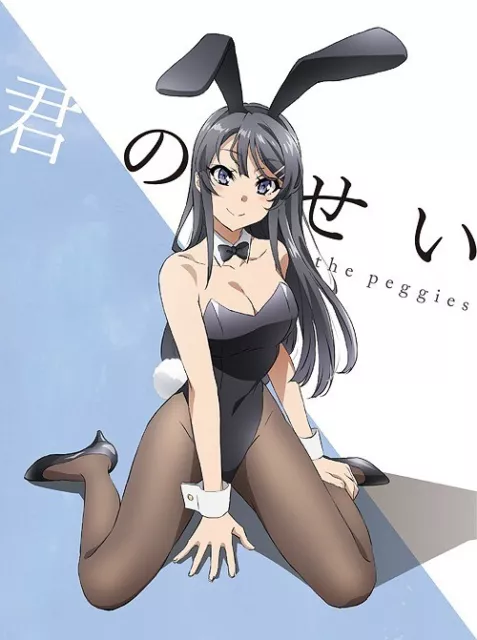 Seishun Buta Yarou wa Randoseru Girl no Yume o Minai - Koga Tomoe - Clear  File (Set B) (Anibox, Don Quijote, Legs Company)