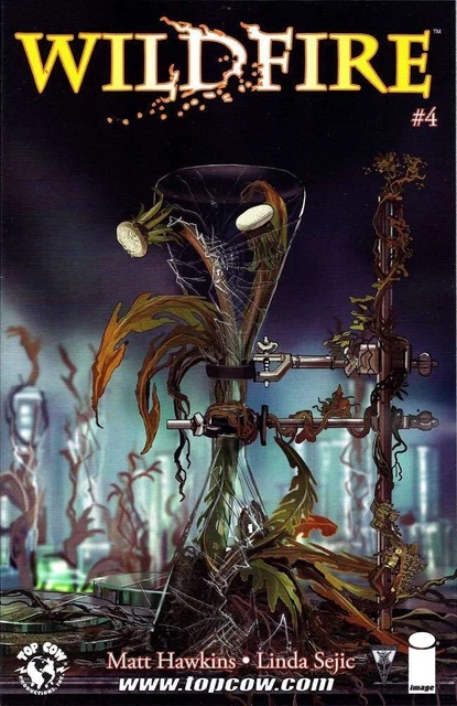 Wildfire #4A VF/NM; Image | Matt Hawkins - Top Cow - we combine shipping
