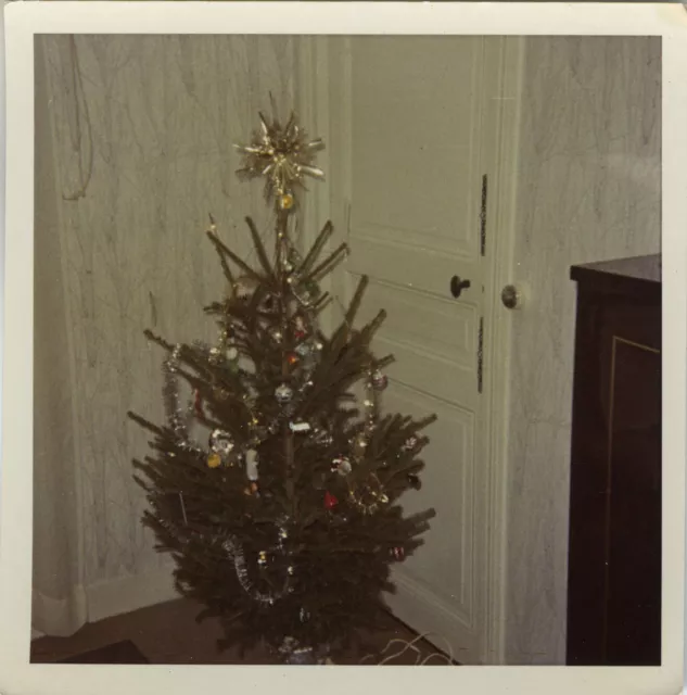 Photo Ancienne - Vintage Snapshot - Curiosité Sapin Noël Arbre - Christmas Tree