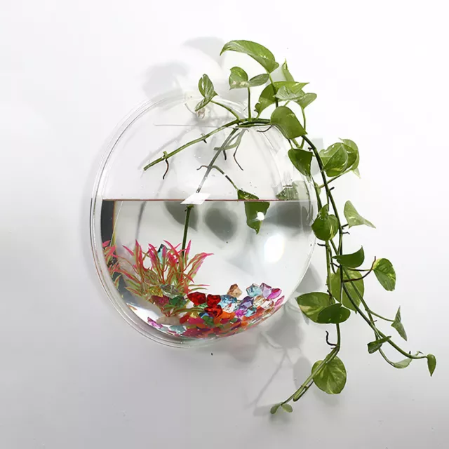 Flower Pot Clear Wall Mounted Funny Acrylic Hanging Fish Vase Acrylic
