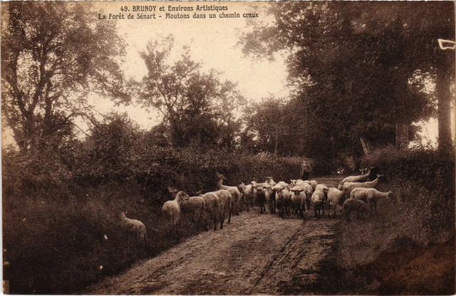 CPA Brunoy La Foret de Senart FRANCE (1371460)