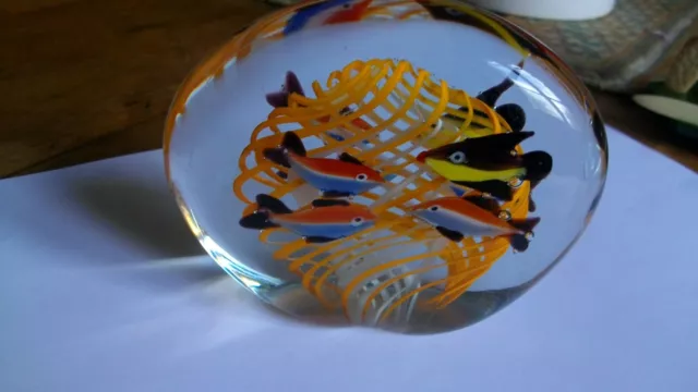 Sulfure Murano aux poissons de verre presse papier boule en verre ovale 700 gr