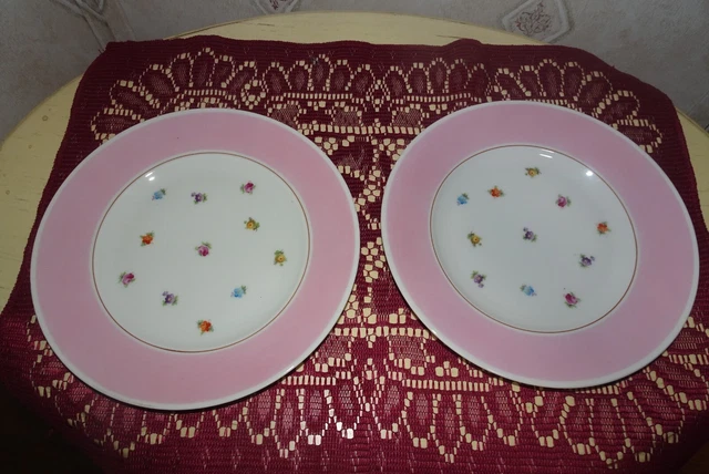 2 Pink with Flowers MZ Czechoslovakia 7 3/4" Dessert Plates