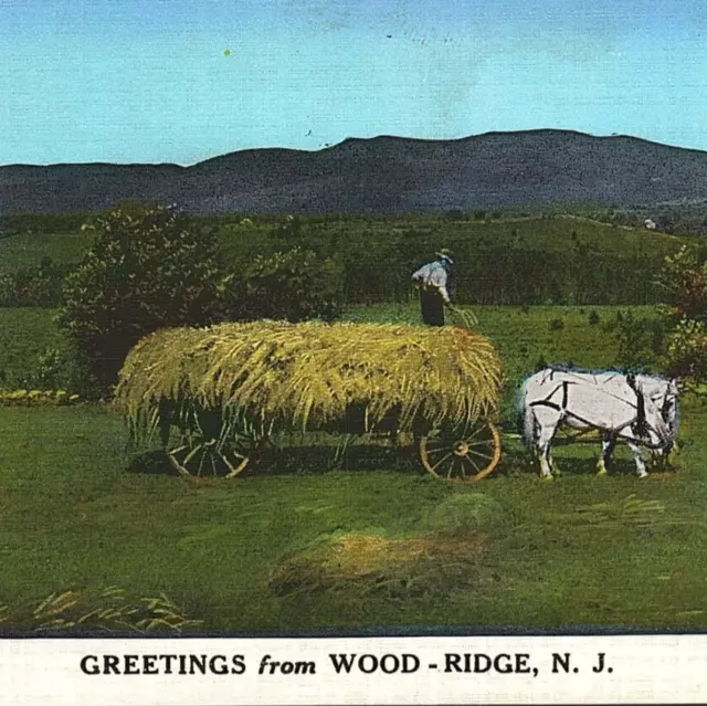 c.1930 Greetings From Wood-Ridge New Jersey Farmer Ox Cart Postcard NJ Bergen