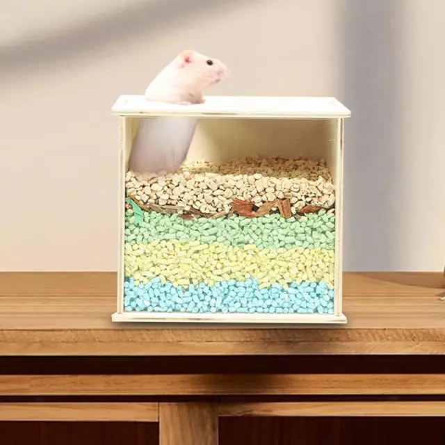 Boîte de bain de sable pour Hamster, cabane, litière pour gerbilles, souris,