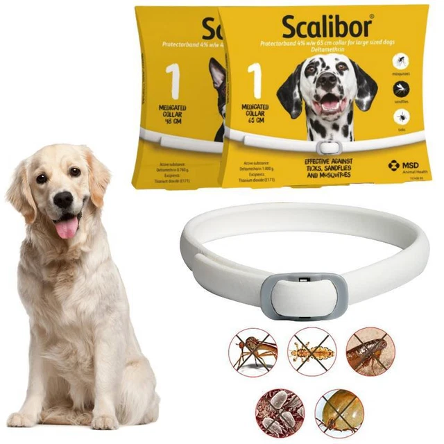 EFFECTIVE FLEA AND Tick Conl Collar For Dogs Tpr Material £13.46 PicClick UK