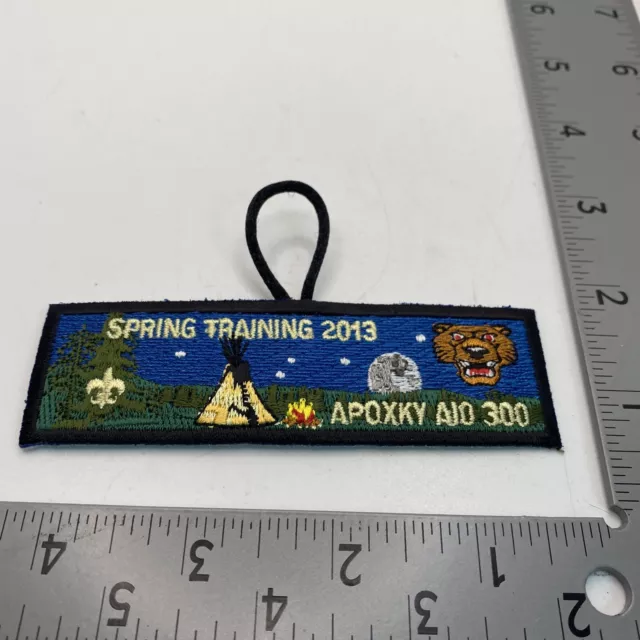Apoxky Aio Lodge #300 2013 Spring Training OA Order of the Arrow 60A-854X