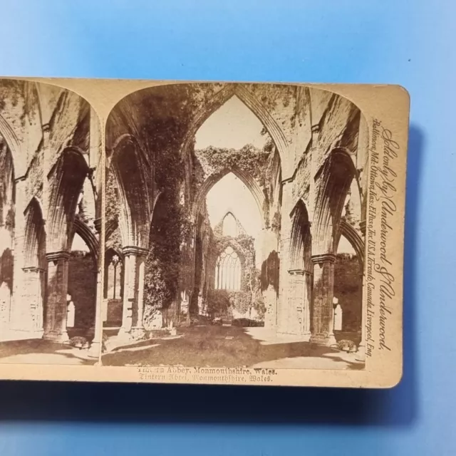 Tintern Monmouth Stereoview 3D C1895 Real Photo The Ancient Abbey Ruins Wales