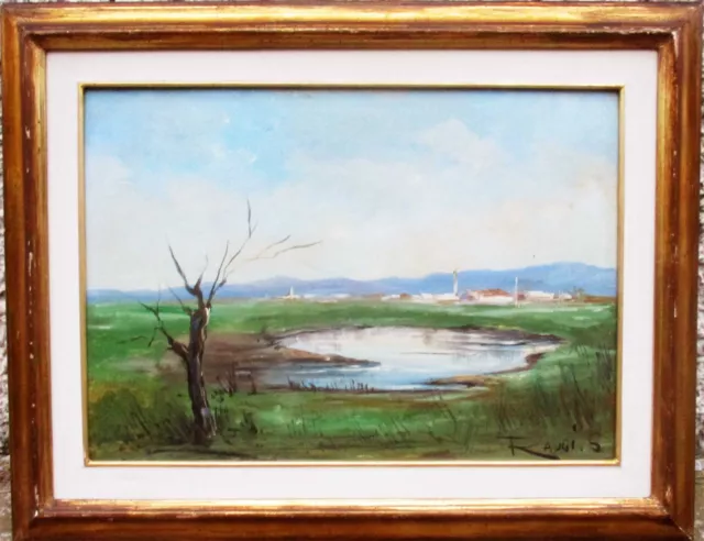 Sergio Raugi (1923-2000) - Paesaggio Di Campagna - Vecchio Quadro Dipinto Olio