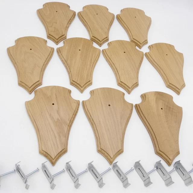 10 Pieza Ciervo Escudo de Trofeo Af 21 X 13CM Claro Con 1 Kieferfach+10 Pinzas 3