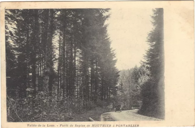 Valley Of La Loue - Forest Of Trees Of Mouthier IN Pontarlier (i4896)
