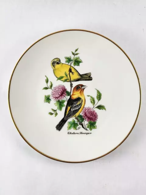 Vintage Bareuther Waldsassen Bavaria Germany Bird Plate Eastern Tanager #144