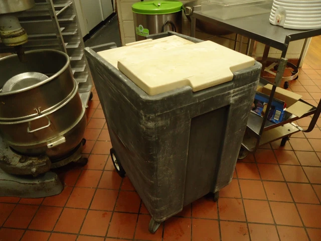 Rubbermaid Portable Ice Caddy
