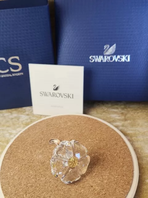 Swarovski Figur 5244642 SCS WildBlume. Ovp & Zertifikat.