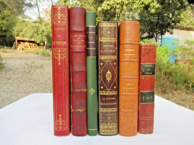 Lot de 6 volumes de littérature classique XIXè. Belles reliures (Gravures).