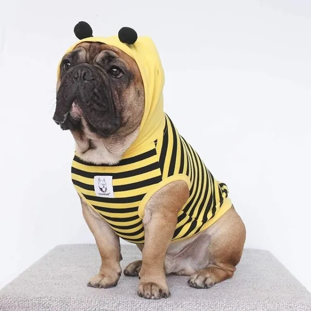 iChoue Bee Hoodie Costume For Dogs Size Large NWT