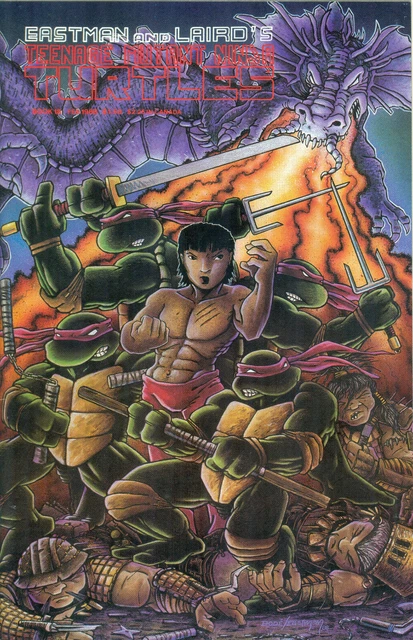 Teenage Mutant Ninja Turtles #18 Kevin Eastman Peter Laird Bode Mirage TMNT 1989