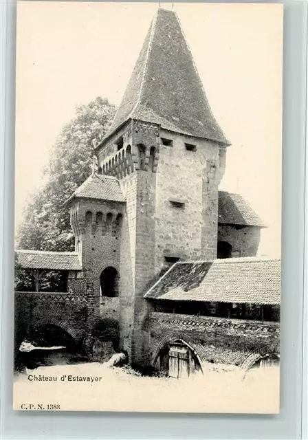 11063021 - Estavayer-le-Lac Château dEstavayer Burg / Schloss