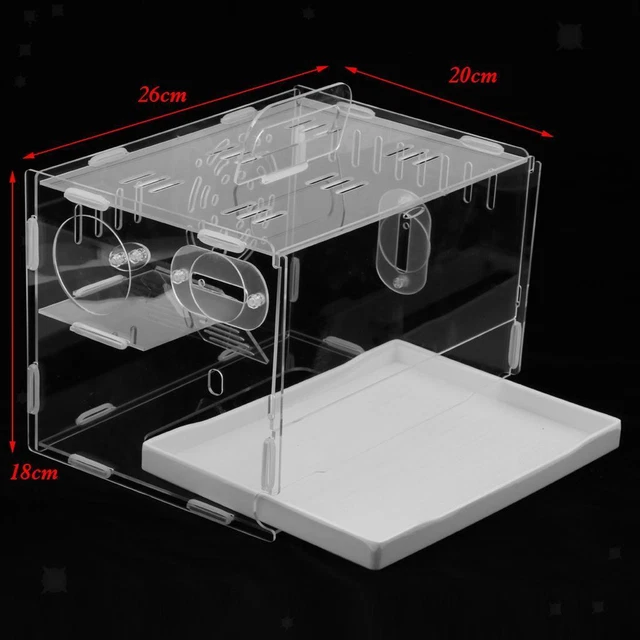 Hamster Gerbil Acryl Käfig  Nest  Mit Leiter Schublade