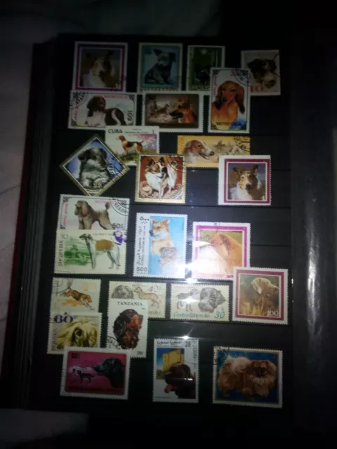 Hunde Dogs Perros  Lot Stamps Briefmarken Sellos Timbres