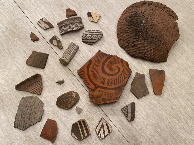 Anasazi (Ancestral Pueblo) Sherds and a Clam Fossil Too!