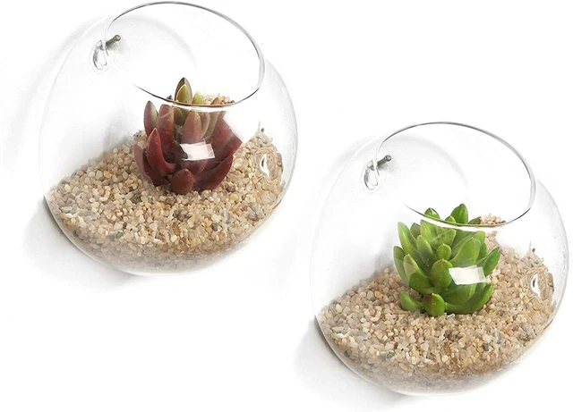 Wall Mounted Clear Glass Terrariums/Air Plant Globes Display Bowl Jars, Set of 2