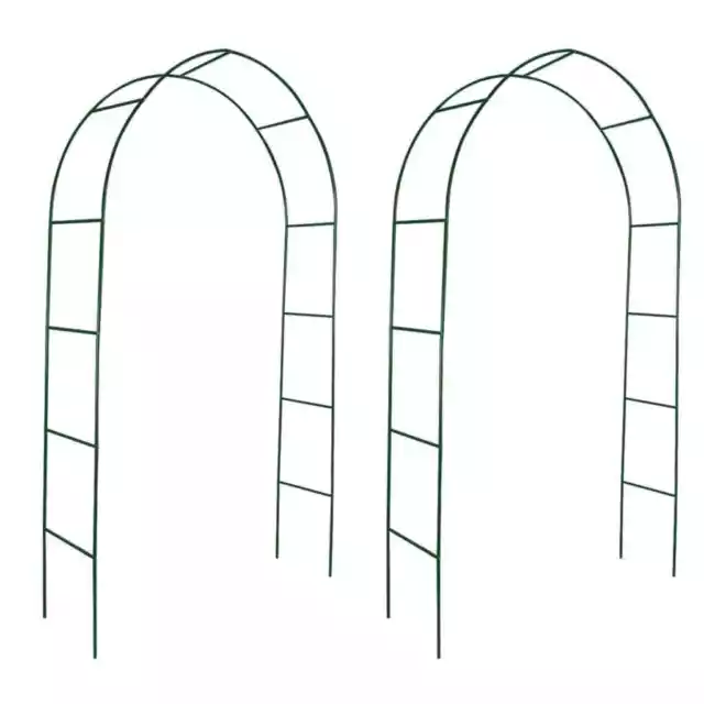 Arcos de jardín 2 unidades para plantas trepadoras vidaXL