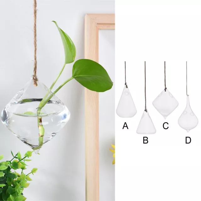 Starting Tray Hanging Glass Ball Vase Flower Plant Pot Terrarium Container Party